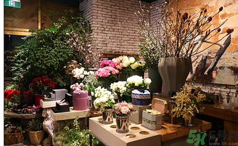 野兽派的花多少钱,野兽派花店价格 野兽派的花多少钱,野兽派花店价格