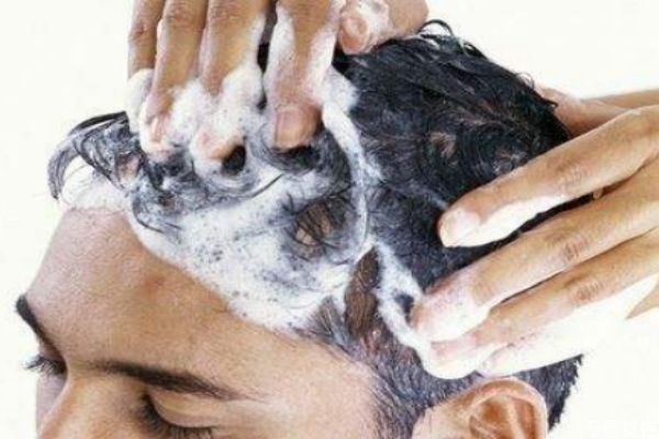 怎么用茶麸洗头,怎样用茶麸洗头发