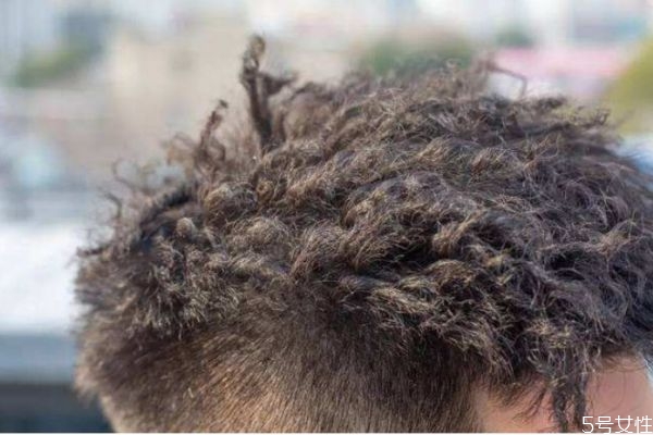 锡纸烫几天内不能洗头,锡纸烫几天能洗