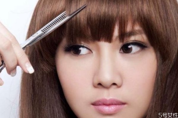 发根和发梢在哪里,发梢发根是哪个部位