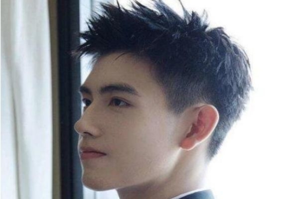 刺猬头发型图片,刺猬头男生发型怎么弄