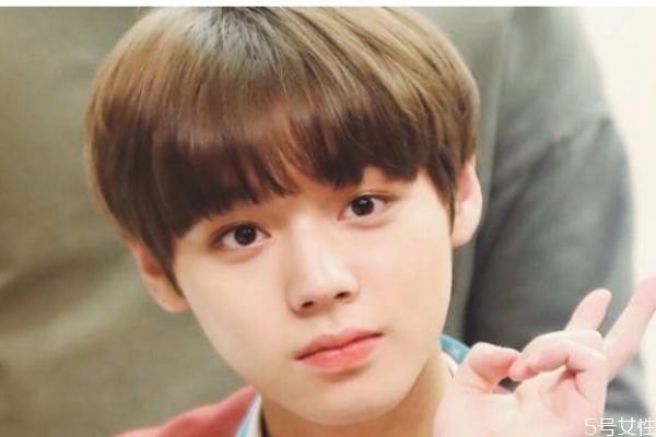 栗子头是锅盖头吗,栗子头是什么 栗子头是锅盖头吗,栗子头是什么