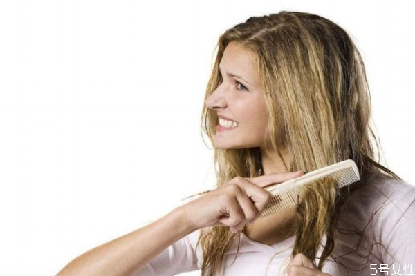 天天梳头掉头发是什么原因,每天梳子梳头发能帮助生发吗