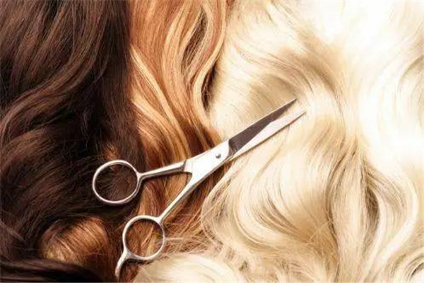 经常染头发是不是白发更严重,经常染头发会长白头发吗 经常染头发是不是白发更严重,经常染头发会长白头发吗