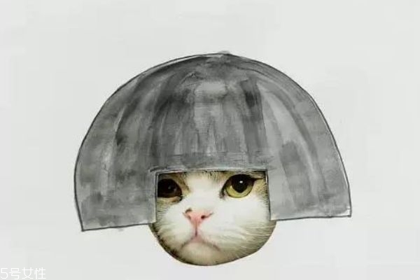 脸大适合斜刘海吗,脸大适合齐刘海还是斜刘海