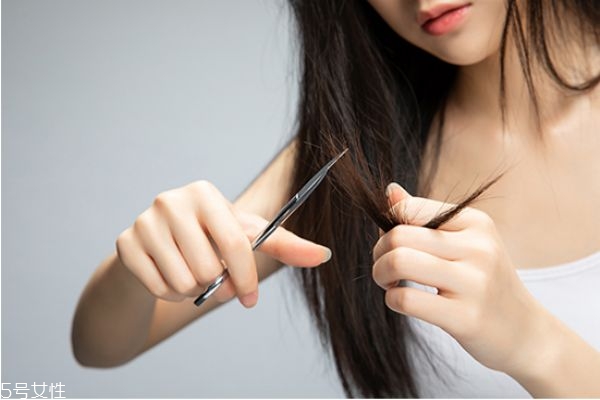 头皮清洁有用吗,头皮清洁有必要吗 知乎