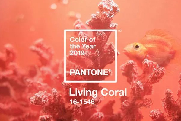 珊瑚橘发色适合什么肤色的人,珊瑚橘适合什么肤色的人 珊瑚橘发色适合什么肤色的人,珊瑚橘适合什么肤色的人