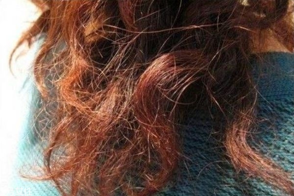 头发发质不好怎么护理,如何护理头发发质好