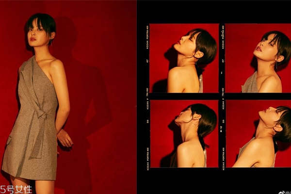 辛芷蕾发型 短发,辛芷蕾同款短发图片