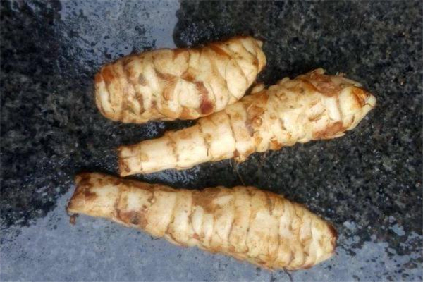 腌过的洋姜怎么保存(腌过的洋姜怎么保存)