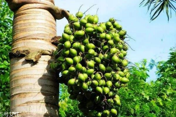 脸部肌肉太发达怎么办(脸部肌肉发达怎么办)