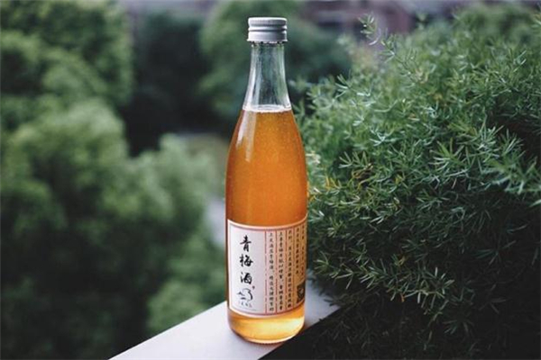 青梅酒什么时候泡最好(青梅酒什么时候泡最好)