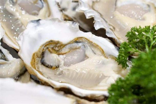 吃了生蚝隔多久能喝奶茶(吃完生蚝能喝奶茶吗) 吃了生蚝隔多久能喝奶茶(吃完生蚝能喝奶茶吗)