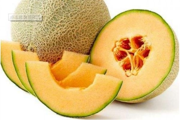 糖尿病患者可以吃哈密瓜吗(糖尿病人能喝苦瓜泡水吗) 糖尿病患者可以吃哈密瓜吗(糖尿病人能喝苦瓜泡水吗)