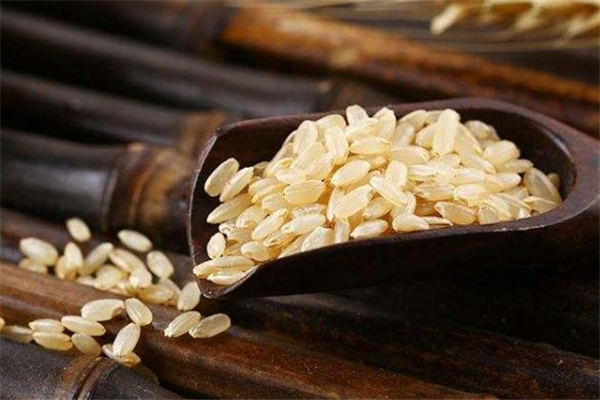 糙米茶的制作方法(糙米茶的制作方法窍门)