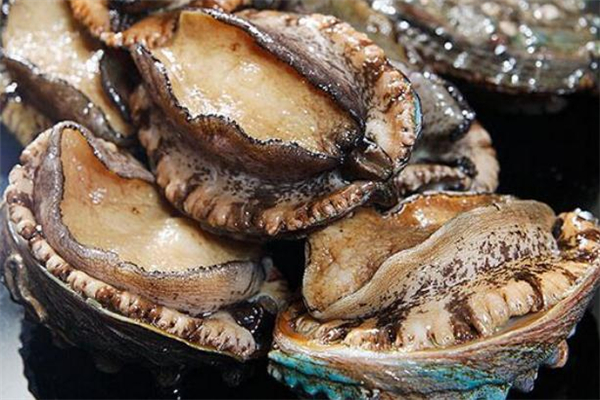 鲍鱼怎么清洗(鲍鱼怎么清洗才干净) 鲍鱼怎么清洗(鲍鱼怎么清洗才干净)