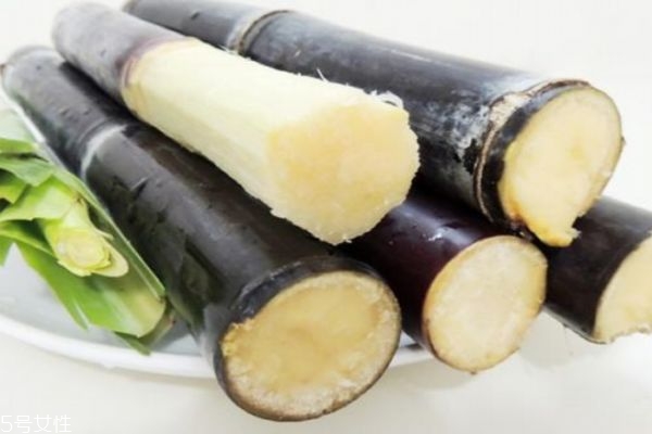 甘蔗可以怎样吃(甘蔗可以怎样吃)