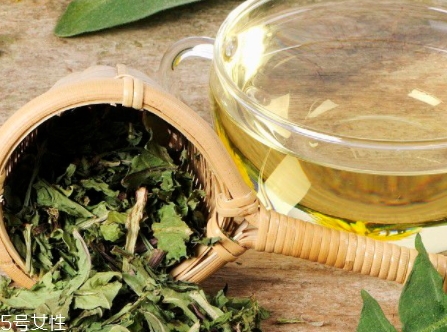 蒲公英煮好还是泡好,蒲公英是泡还是煮好