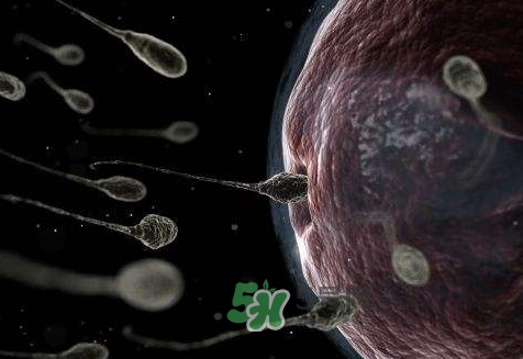 使用外用避孕药应注意些什么?_?,外用避孕药的禁忌症有哪些