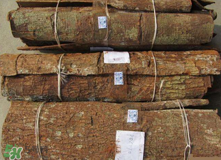 安哥拉树皮效果好吗,安哥拉树皮真的有效果吗