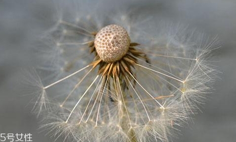 红糖的危害,红糖吃多了有什么害处