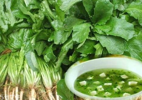 荠菜包饺子用焯水吗,荠菜做饺子馅用焯水吗