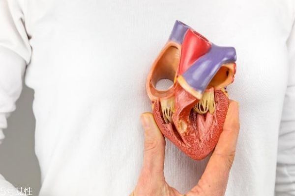 男女心脏有什么区别,男女心脏位置有什么区别