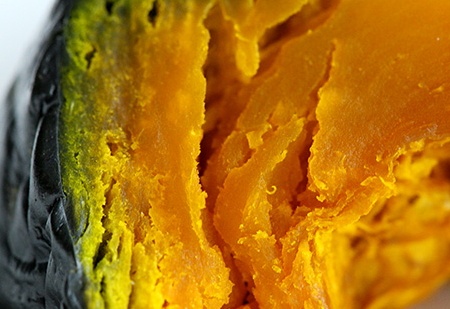 养胃的食物有哪些最佳,哪些食物可以养胃护胃