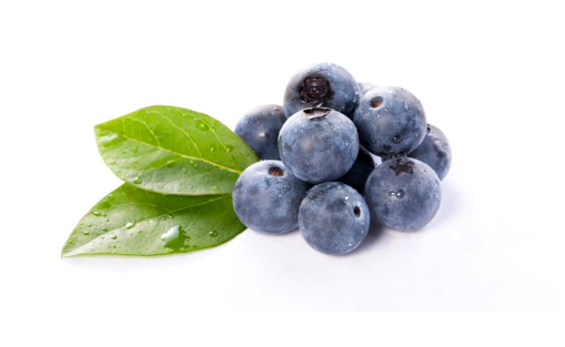 蓝莓和梨能一起吃吗,蓝莓和梨能一起吃吗可以一起榨汁吗