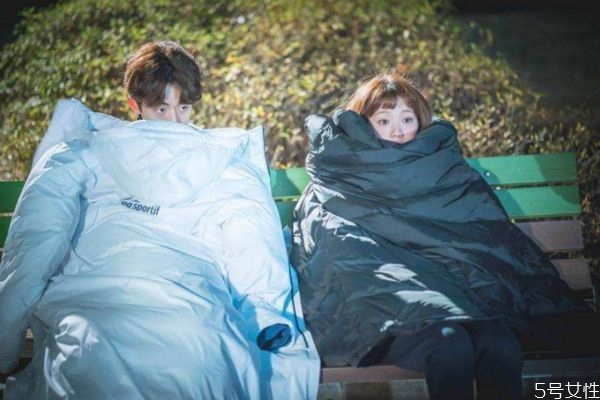 男生说女生猪代表什么意思,女生说男生猪是什么意思