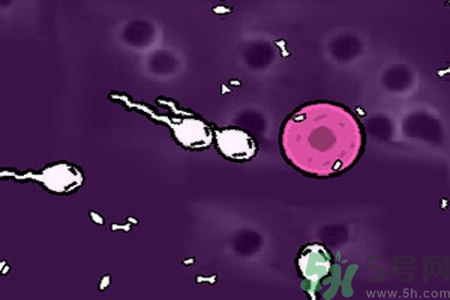 避孕的办法有什么,避孕有哪些办法