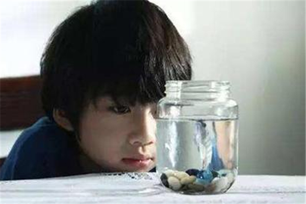 自闭症的危害都有哪些,自闭症的危害