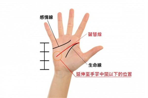 有二条智慧线的人,两条智慧线的人是什么人