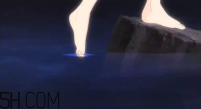 sf的含义,sf术语是什么意思