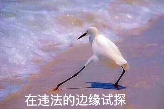 在违法的边缘试探原图,在违法的边缘试探图片