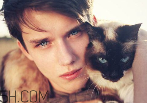 娱乐圈小狼狗什么意思,娱乐圈四大小狼狗是谁