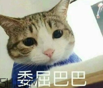 女生再说吧怎么回复,女生说再说吧怎么回复