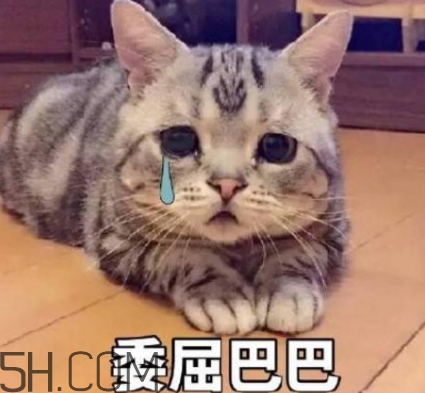 女人说失眠怎么回复,女生说失眠怎么回复