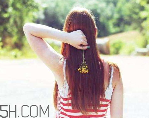 说女人贝多芬什么意思,说女人贝多芬啥意思