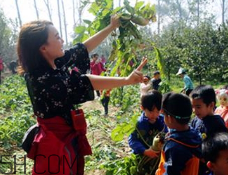 歇后语是什么意思,歇后语大全