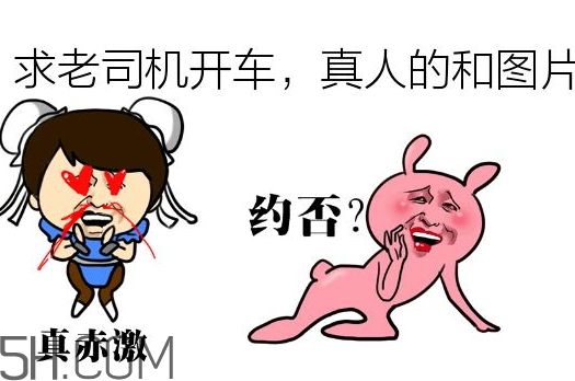 网络用语老司机是什么意思,网络上的老司机什么意思