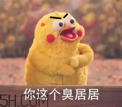 你个臭居居表情包,你这个臭居居表情包 你个臭居居表情包,你这个臭居居表情包