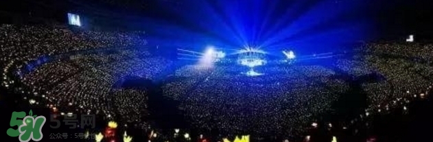 疯狂打call什么意思,为你疯狂打call啥意思