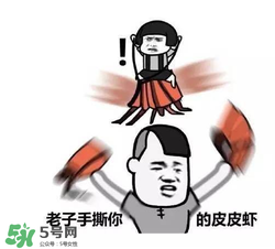 皮皮虾不是虾,皮皮虾为什么