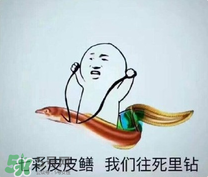 黄鳝表情包啥意思,玩黄瓜表情包