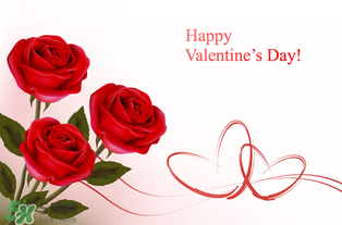 情人节送礼攻略,情人节送礼物