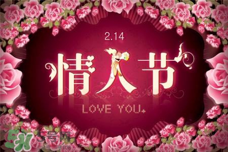 情人节送百合花代表什么意思,情人送百合啥意思