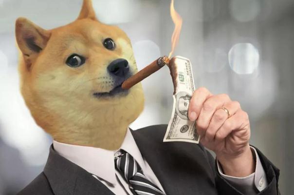 投资狗狗币怎么样,狗狗币值得投资吗