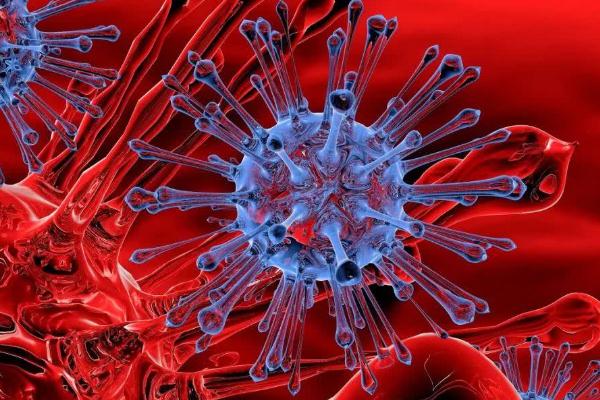 变异新冠病毒有什么特点,新冠病毒变异属于什么变异 变异新冠病毒有什么特点,新冠病毒变异属于什么变异