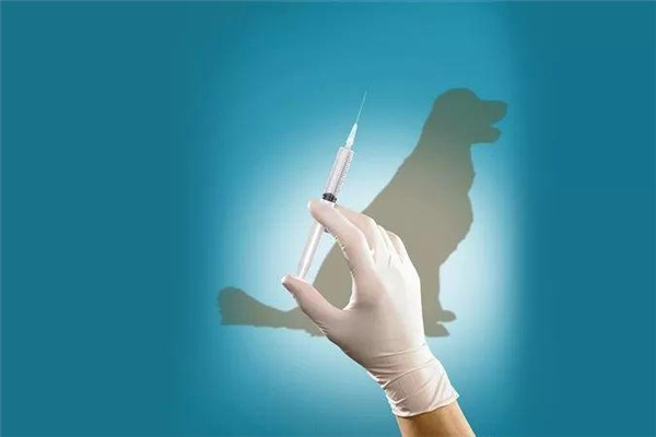 狂犬病发作还有救吗,狂犬病发病还有救吗?